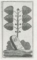 Thumbnail for version as of 17:05, 27 September 2026