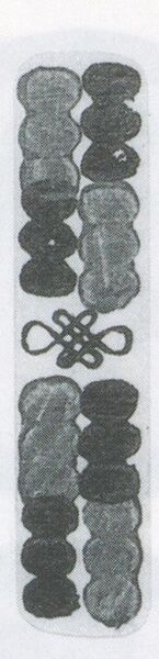 Datei:SPKW-Q3884-t238-pic 2026-09-12 164730-l-z1-s7-einzelkarte.jpg