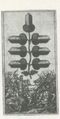 Thumbnail for version as of 15:27, 27 September 2026