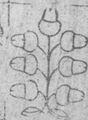 Thumbnail for version as of 05:12, 20 September 2026
