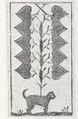 Thumbnail for version as of 18:09, 27 September 2026