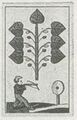 Thumbnail for version as of 17:06, 27 September 2026