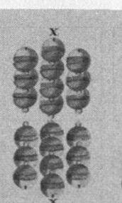 Bells-10 (German)
