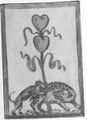 Thumbnail for version as of 03:40, 20 September 2026