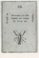 Thumbnail for version as of 20:42, 27 September 2026