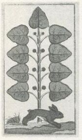 Leaves-9 (German)