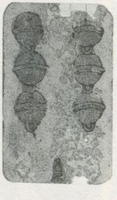 Bells-6 (German)