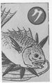 Thumbnail for version as of 07:41, 20 September 2026