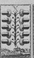 Thumbnail for version as of 05:22, 20 September 2026