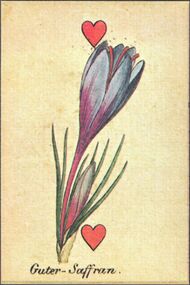 Hearts-2 (French)