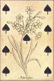 Spades-9 (French)