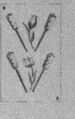 Thumbnail for version as of 08:55, 20 September 2026