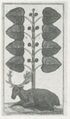 Thumbnail for version as of 17:04, 27 September 2026