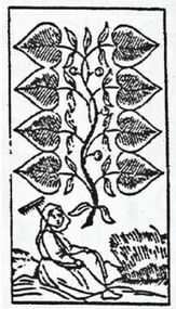 Leaves-8 (German)