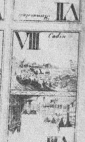 Trump VIII