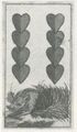 Thumbnail for version as of 17:05, 27 September 2026