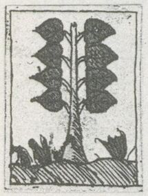 Leaves-8 (German)