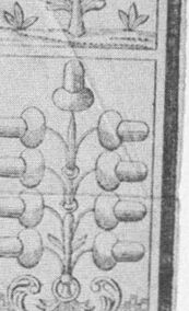 Acorns-9 (German)