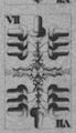 Thumbnail for version as of 06:06, 20 September 2026
