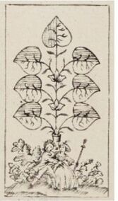 Leaves-7 (German)