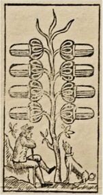 Acorns-8 (German)