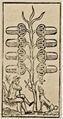 Thumbnail for version as of 08:46, 31 August 2026