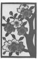 Thumbnail for version as of 07:34, 20 September 2026