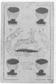 Thumbnail for version as of 08:27, 20 September 2026