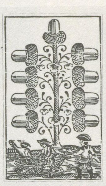 Datei:SPKW-Q29878-bnm-scan-s049r-z01s06-dt-eichel-9.jpg
