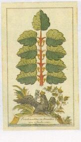 Leaves-9 (German)