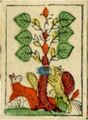 Thumbnail for version as of 08:44, 31 August 2026