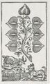 Thumbnail for version as of 16:58, 27 September 2026