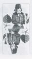 Thumbnail for version as of 15:37, 23 September 2026