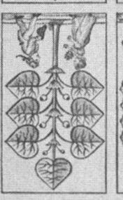 Leaves-7 (German)