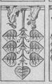 Thumbnail for version as of 19:12, 19 September 2026