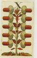 Thumbnail for version as of 15:31, 23 September 2026