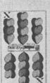 Thumbnail for version as of 19:37, 19 September 2026